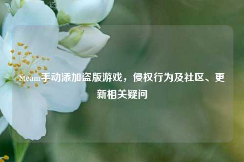 Steam手动添加盗版游戏,侵权行为及社区、更新相关疑问