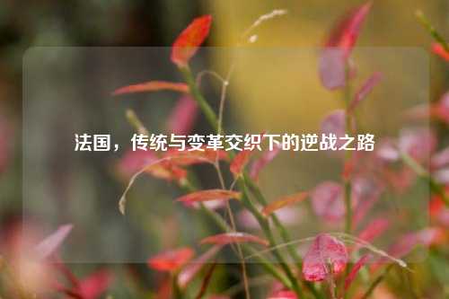 法国,传统与变革交织下的逆战之路