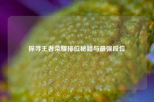 探寻王者荣耀排位秘籍与最强段位