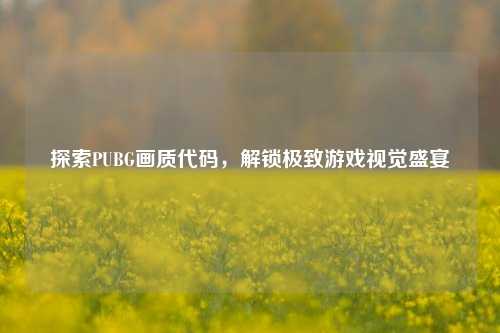 探索PUBG画质代码,解锁极致游戏视觉盛宴
