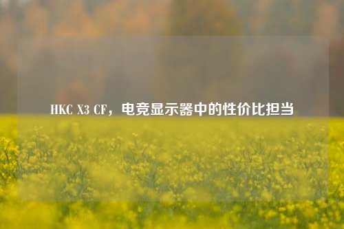 HKC X3 CF,电竞显示器中的性价比担当