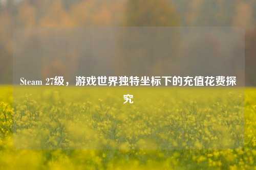 Steam 27级,游戏世界独特坐标下的充值花费探究