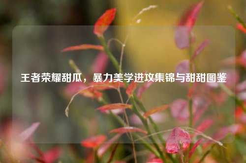 王者荣耀甜瓜,暴力美学进攻集锦与甜甜图鉴