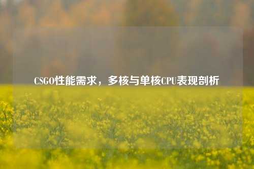 CSGO性能需求,多核与单核CPU表现剖析