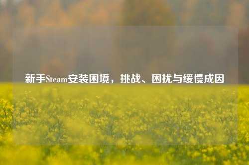 新手Steam安装困境,挑战、困扰与缓慢成因