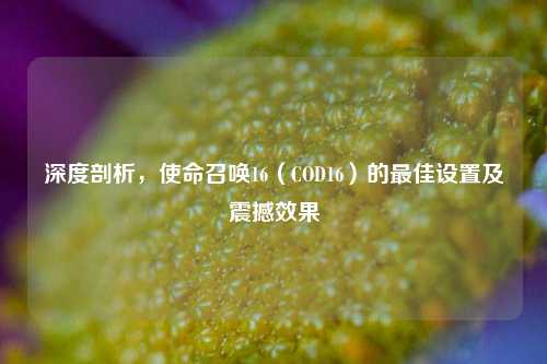 深度剖析,使命召唤16(COD16)的更佳设置及震撼效果
