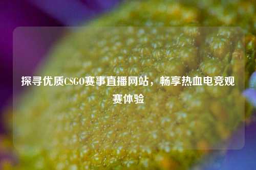 探寻优质CSGO赛事直播网站,畅享热血电竞观赛体验