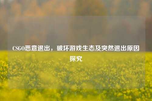 CSGO恶意退出,破坏游戏生态及突然退出原因探究