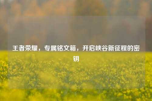 王者荣耀,专属铭文箱,开启峡谷新征程的密钥