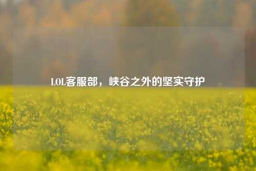 LOL *** 部,峡谷之外的坚实守护
