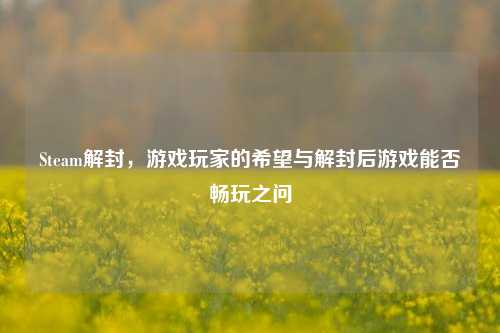 Steam解封,游戏玩家的希望与解封后游戏能否畅玩之问