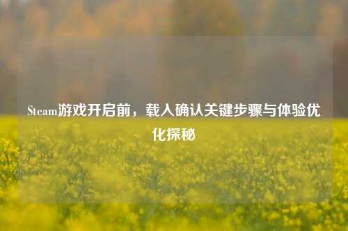 Steam游戏开启前,载入确认关键步骤与体验优化探秘