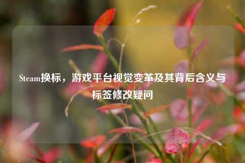 Steam换标,游戏平台视觉变革及其背后含义与标签修改疑问