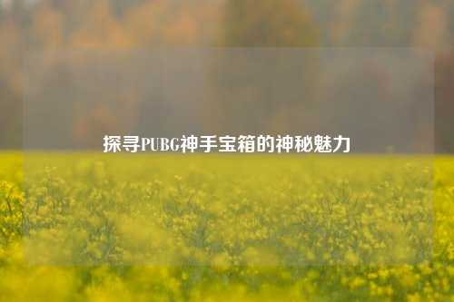 探寻PUBG神手宝箱的神秘魅力