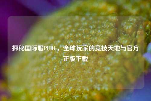 探秘国际服PUBG,全球玩家的竞技天地与官方正版下载