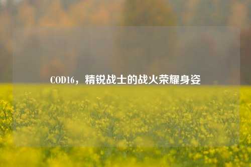 COD16,精锐战士的战火荣耀身姿