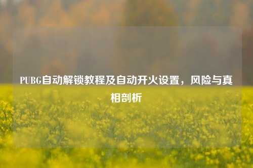 PUBG自动解锁教程及自动开火设置,风险与真相剖析