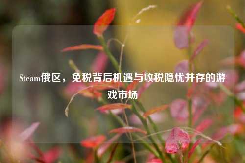 Steam俄区，免税背后机遇与收税隐忧并存的游戏市场