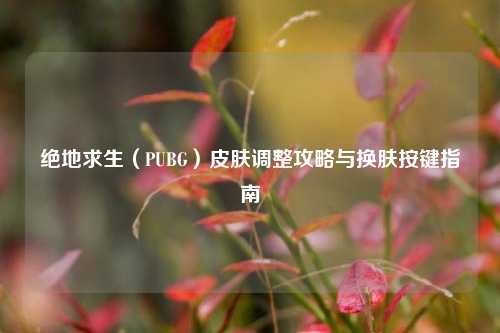 绝地求生(PUBG)皮肤调整攻略与换肤按键指南