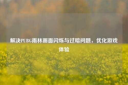解决PUBG雨林画面闪烁与过暗问题,优化游戏体验