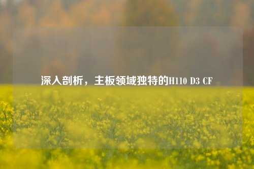 深入剖析,主板领域独特的H110 D3 CF