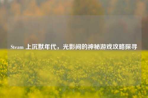 Steam 上沉默年代,光影间的神秘游戏攻略探寻