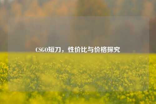 CSGO短刀,性价比与价格探究