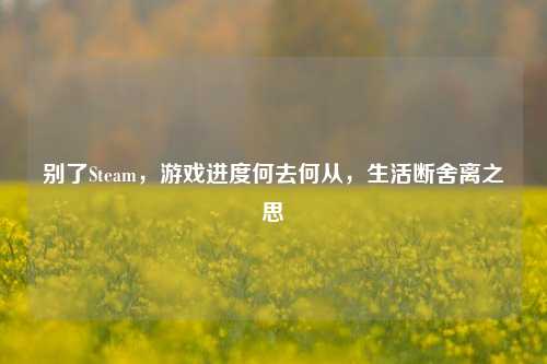 别了Steam,游戏进度何去何从,生活断舍离之思