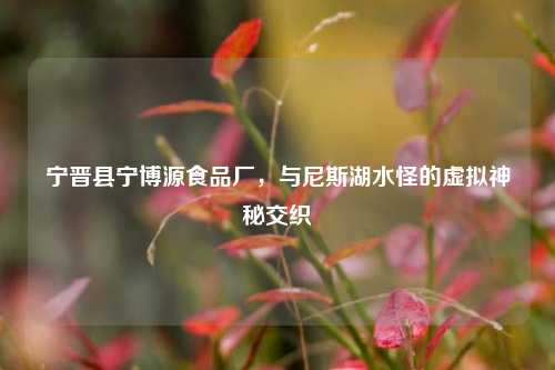 宁晋县宁博源食品厂,与尼斯湖水怪的虚拟神秘交织