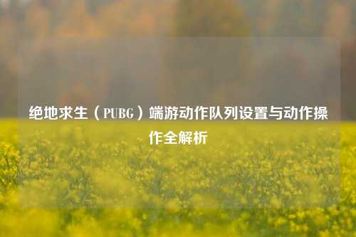 绝地求生(PUBG)端游动作队列设置与动作操作全解析