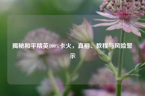 揭秘和平精英100%卡火,真相、教程与风险警示