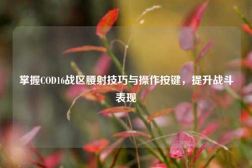 掌握COD16战区腰射技巧与操作按键,提升战斗表现