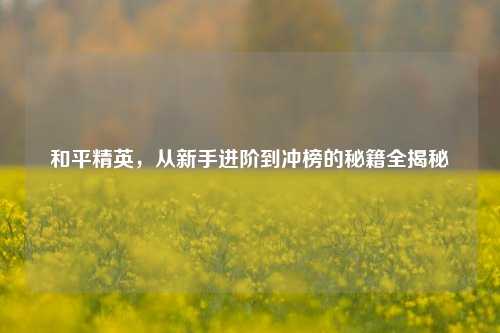 和平精英,从新手进阶到冲榜的秘籍全揭秘