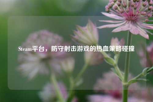 Steam平台,防守射击游戏的热血策略碰撞