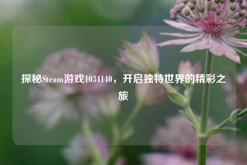 探秘Steam游戏1034140,开启独特世界的精彩之旅