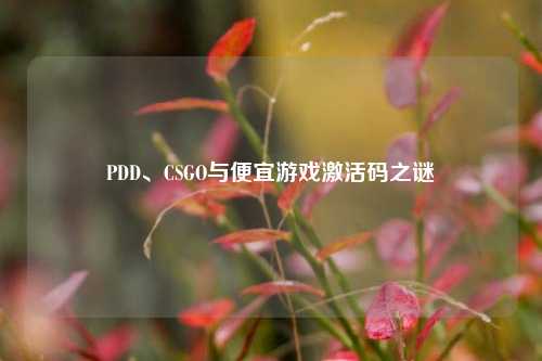 PDD、CSGO与便宜游戏激活码之谜