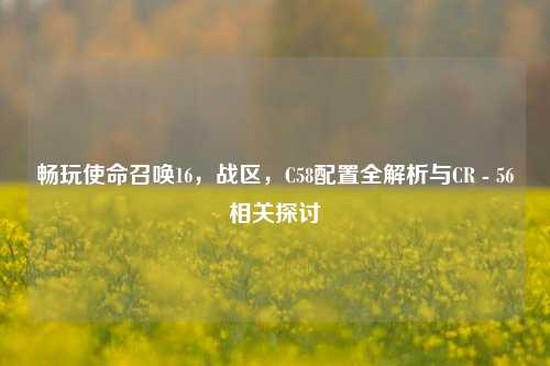 畅玩使命召唤16,战区,C58配置全解析与CR - 56相关探讨