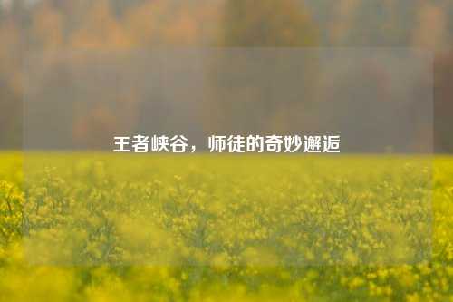 王者峡谷，师徒的奇妙邂逅