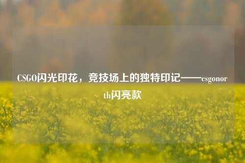 CSGO闪光印花，竞技场上的独特印记——csgonorth闪亮款