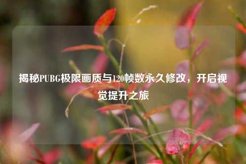 揭秘PUBG极限画质与120帧数永久修改，开启视觉提升之旅