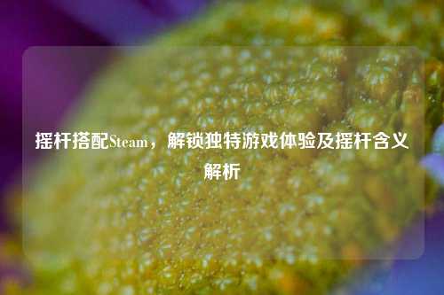 摇杆搭配Steam，解锁独特游戏体验及摇杆含义解析