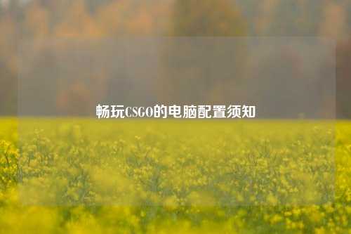 畅玩CSGO的电脑配置须知