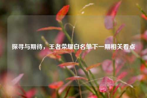 探寻与期待,王者荣耀白名单下一期相关看点