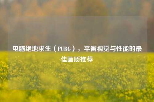 电脑绝地求生(PUBG),平衡视觉与性能的更佳画质推荐