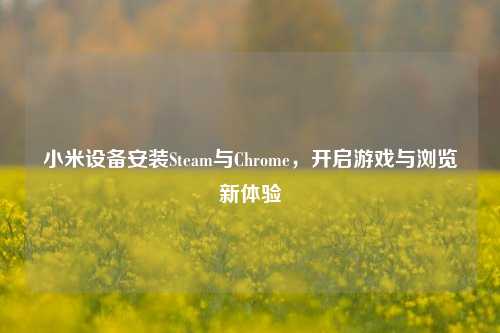 小米设备安装Steam与Chrome,开启游戏与浏览新体验
