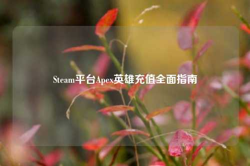 Steam平台Apex英雄充值全面指南