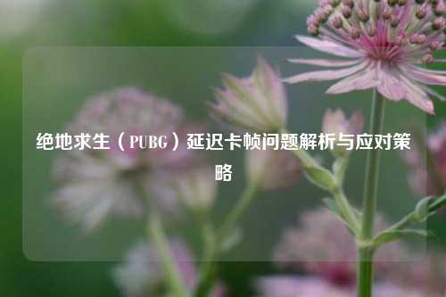 绝地求生(PUBG)延迟卡帧问题解析与应对策略
