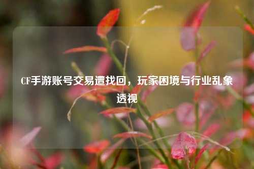 CF手游账号交易遭找回,玩家困境与行业乱象透视