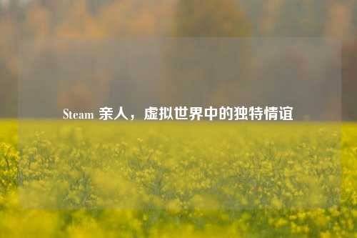 Steam 亲人,虚拟世界中的独特情谊