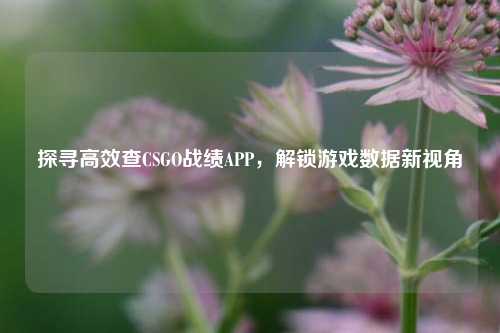 探寻高效查CSGO战绩APP,解锁游戏数据新视角